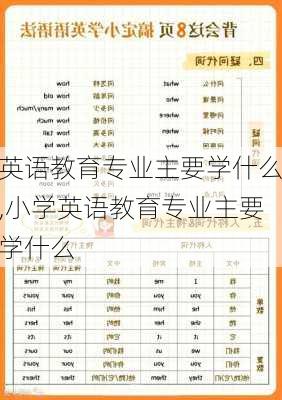 英语教育专业主要学什么,小学英语教育专业主要学什么