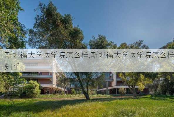 斯坦福大学医学院怎么样,斯坦福大学医学院怎么样知乎