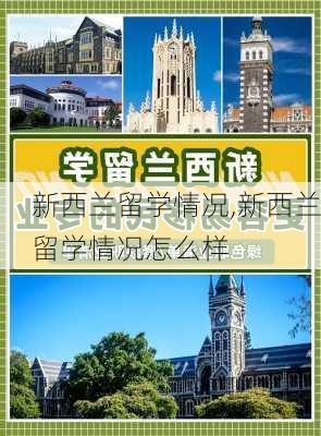 新西兰留学情况,新西兰留学情况怎么样