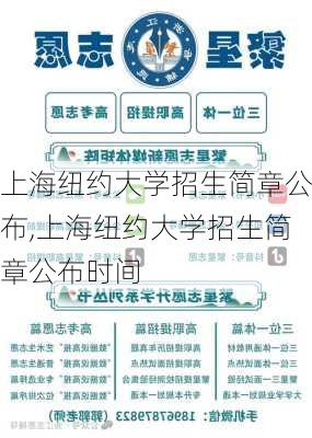 上海纽约大学招生简章公布,上海纽约大学招生简章公布时间