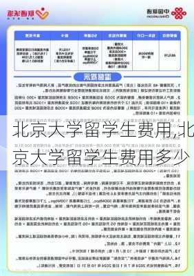 北京大学留学生费用,北京大学留学生费用多少