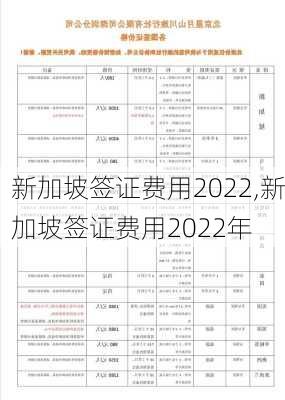 新加坡签证费用2022,新加坡签证费用2022年