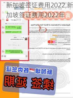 新加坡签证费用2022,新加坡签证费用2022年