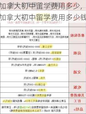 加拿大初中留学费用多少,加拿大初中留学费用多少钱