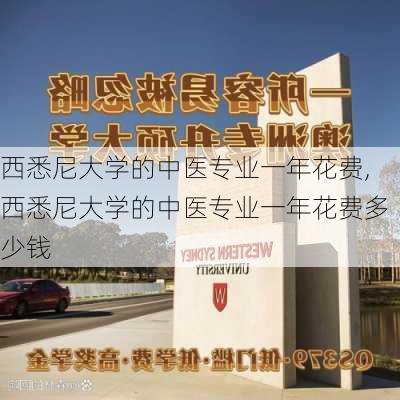 西悉尼大学的中医专业一年花费,西悉尼大学的中医专业一年花费多少钱