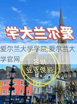 爱尔兰大学学院,爱尔兰大学官网