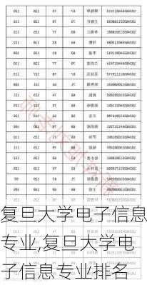 复旦大学电子信息专业,复旦大学电子信息专业排名