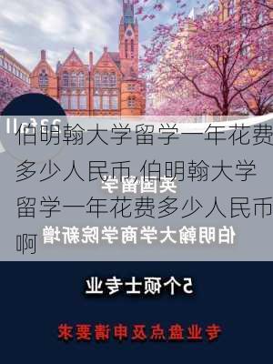 伯明翰大学留学一年花费多少人民币,伯明翰大学留学一年花费多少人民币啊