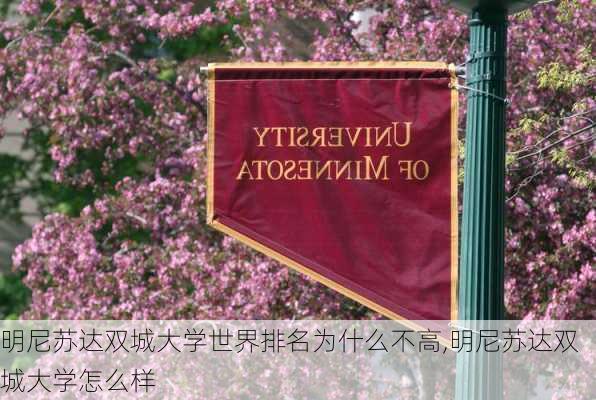 明尼苏达双城大学世界排名为什么不高,明尼苏达双城大学怎么样