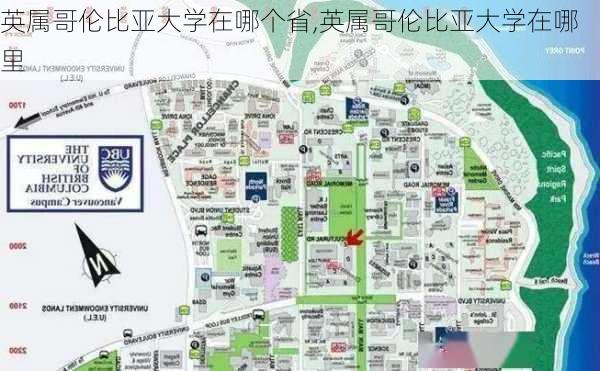 英属哥伦比亚大学在哪个省,英属哥伦比亚大学在哪里