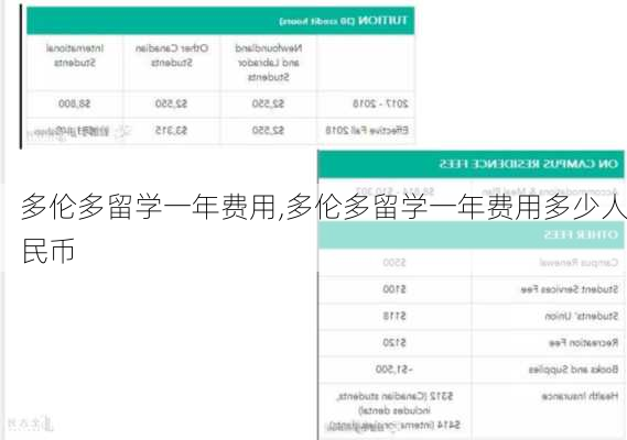 多伦多留学一年费用,多伦多留学一年费用多少人民币