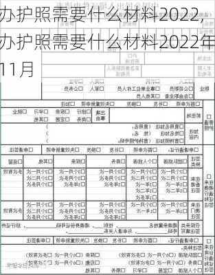 办护照需要什么材料2022,办护照需要什么材料2022年11月