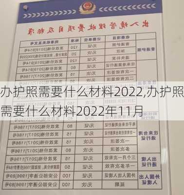 办护照需要什么材料2022,办护照需要什么材料2022年11月