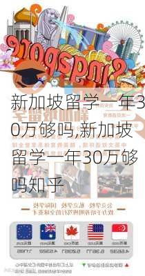 新加坡留学一年30万够吗,新加坡留学一年30万够吗知乎