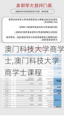 澳门科技大学商学士,澳门科技大学商学士课程