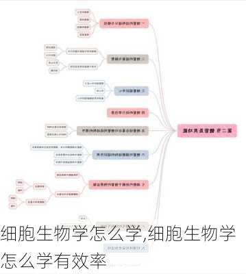 细胞生物学怎么学,细胞生物学怎么学有效率