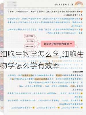 细胞生物学怎么学,细胞生物学怎么学有效率