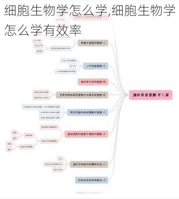 细胞生物学怎么学,细胞生物学怎么学有效率