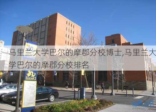 马里兰大学巴尔的摩郡分校博士,马里兰大学巴尔的摩郡分校排名