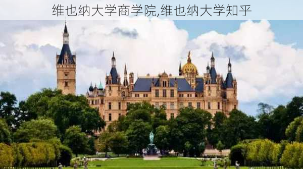 维也纳大学商学院,维也纳大学知乎