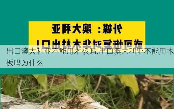 出口澳大利亚不能用木板吗,出口澳大利亚不能用木板吗为什么