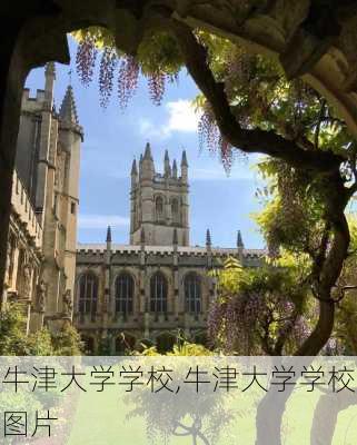 牛津大学学校,牛津大学学校图片