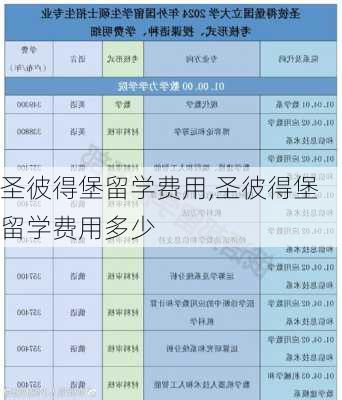 圣彼得堡留学费用,圣彼得堡留学费用多少