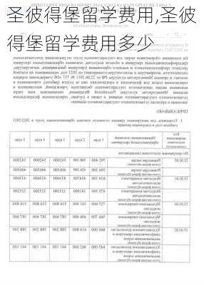 圣彼得堡留学费用,圣彼得堡留学费用多少