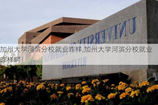 加州大学河滨分校就业咋样,加州大学河滨分校就业咋样啊