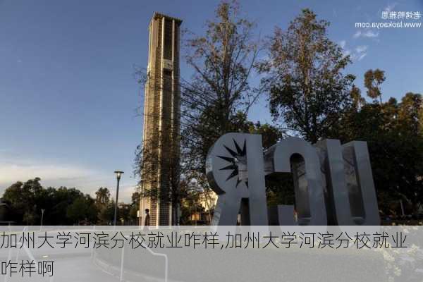 加州大学河滨分校就业咋样,加州大学河滨分校就业咋样啊