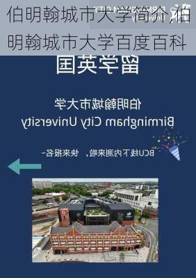 伯明翰城市大学简介,伯明翰城市大学百度百科