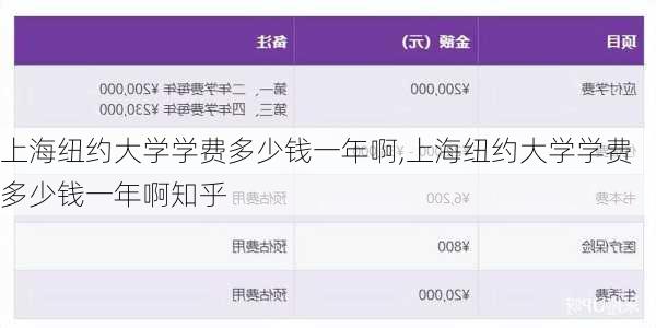 上海纽约大学学费多少钱一年啊,上海纽约大学学费多少钱一年啊知乎