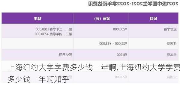 上海纽约大学学费多少钱一年啊,上海纽约大学学费多少钱一年啊知乎