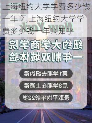 上海纽约大学学费多少钱一年啊,上海纽约大学学费多少钱一年啊知乎