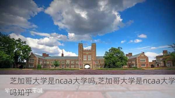 芝加哥大学是ncaa大学吗,芝加哥大学是ncaa大学吗知乎