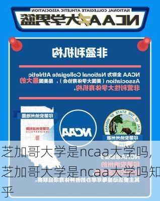 芝加哥大学是ncaa大学吗,芝加哥大学是ncaa大学吗知乎