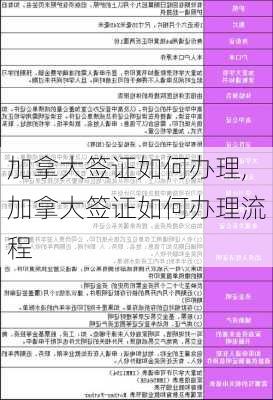 加拿大签证如何办理,加拿大签证如何办理流程