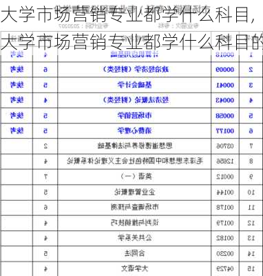 大学市场营销专业都学什么科目,大学市场营销专业都学什么科目的