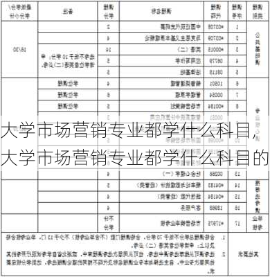 大学市场营销专业都学什么科目,大学市场营销专业都学什么科目的