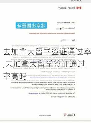 去加拿大留学签证通过率,去加拿大留学签证通过率高吗