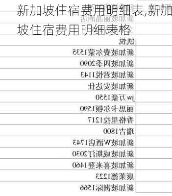 新加坡住宿费用明细表,新加坡住宿费用明细表格