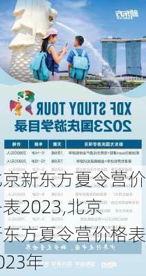 北京新东方夏令营价格表2023,北京新东方夏令营价格表2023年