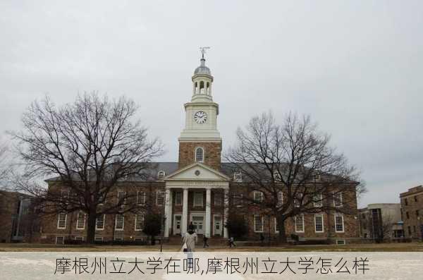 摩根州立大学在哪,摩根州立大学怎么样