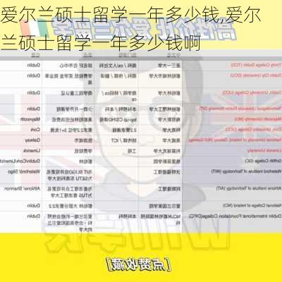 爱尔兰硕士留学一年多少钱,爱尔兰硕士留学一年多少钱啊