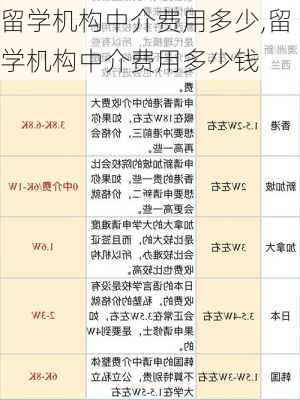 留学机构中介费用多少,留学机构中介费用多少钱