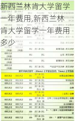 新西兰林肯大学留学一年费用,新西兰林肯大学留学一年费用多少