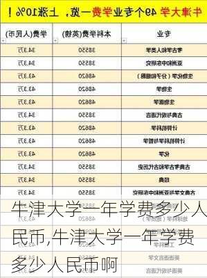 牛津大学一年学费多少人民币,牛津大学一年学费多少人民币啊