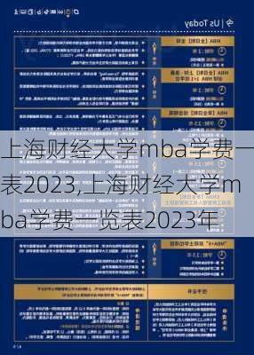 上海财经大学mba学费一览表2023,上海财经大学mba学费一览表2023年