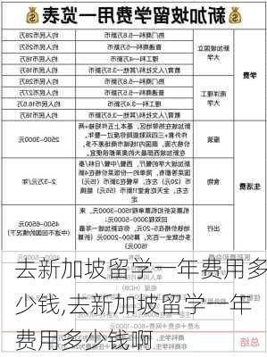 去新加坡留学一年费用多少钱,去新加坡留学一年费用多少钱啊