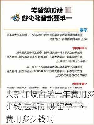 去新加坡留学一年费用多少钱,去新加坡留学一年费用多少钱啊